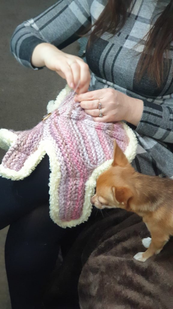 custom clothes in burberry style for all small dogs and puppies