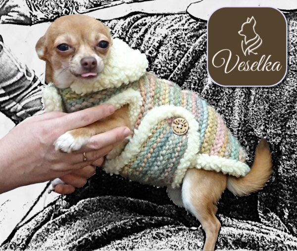 Autumn colour rainbow knitted dog coat