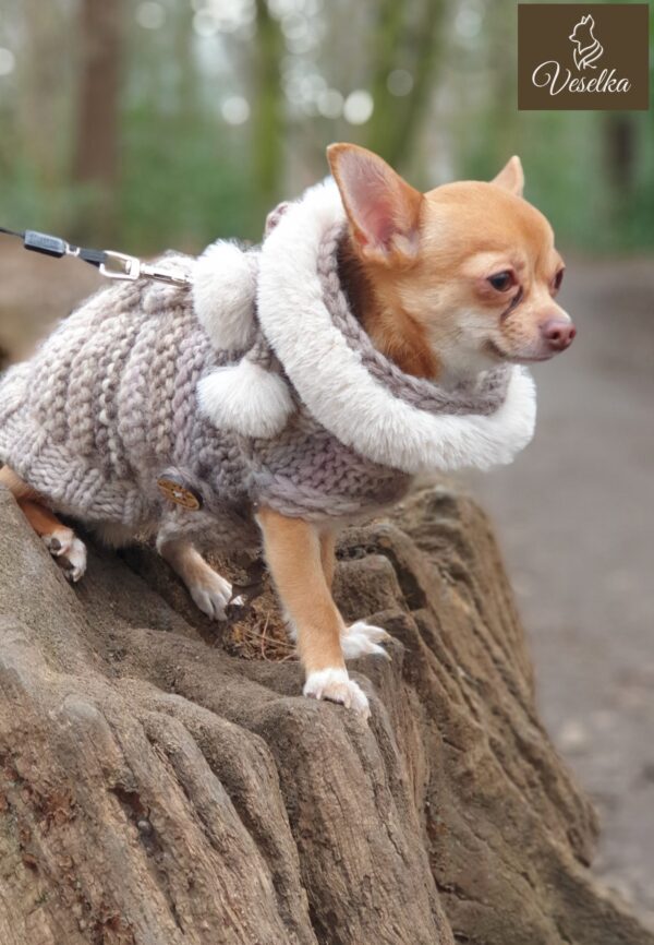 luxury knitted coat for small dog breed