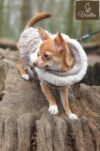 yorkie designer dog coat