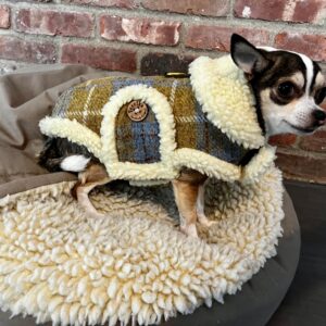 luxury harris tweed winter small dog coat
