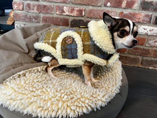 luxury harris tweed winter small dog coat