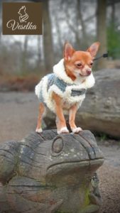 high class winter fur coat for small dogs