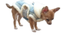 beautiful small dog coat warm for winter made to order