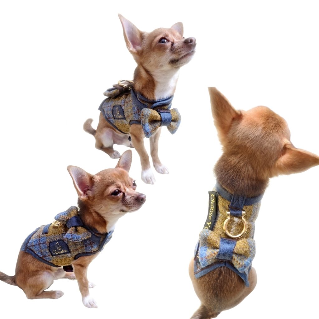 customise dog harness with bow tie in different locations