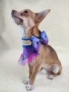 purple harris tweed dog bow tie with name badge