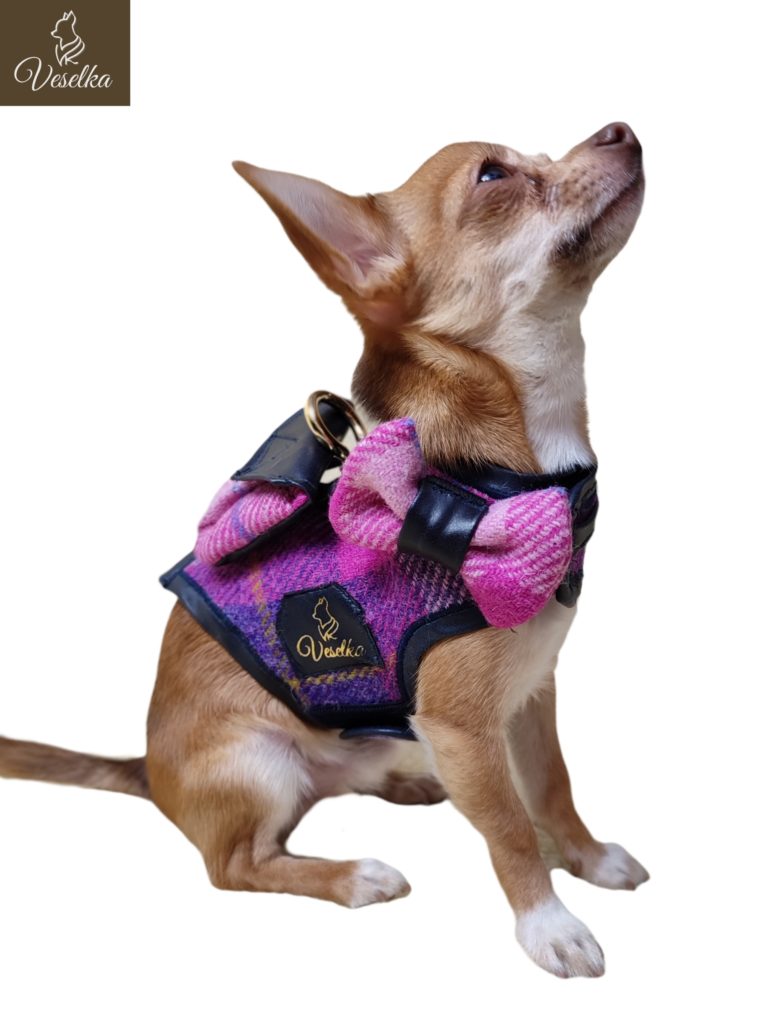 small dog harness pink purple orange green gold