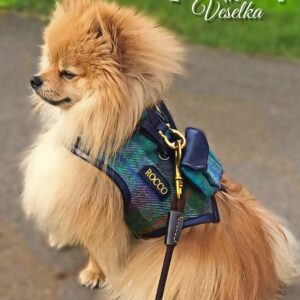 luxury small dog harness harris tweed handwoven wool
