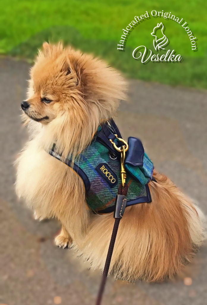 Veselka small dog harness luxury harris tweed custom made with name tag