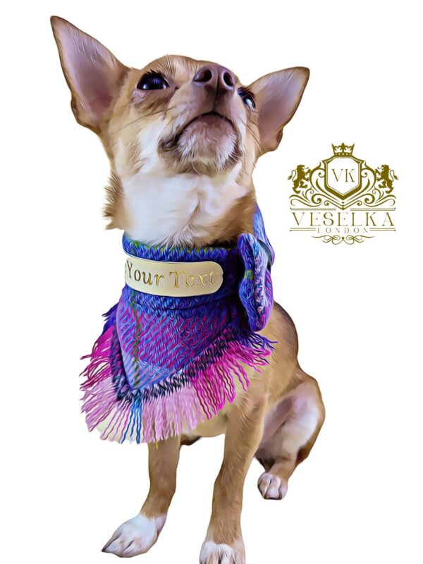 purple dog bandana in harris tweed tea cup chihuahua and small big dogs