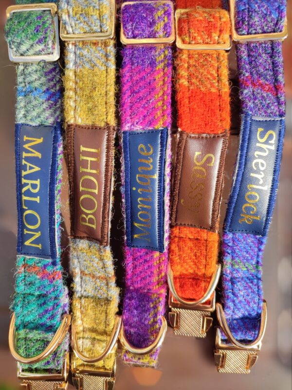 bespoke harris tweed dog collars made for all small puppies including tea cup size