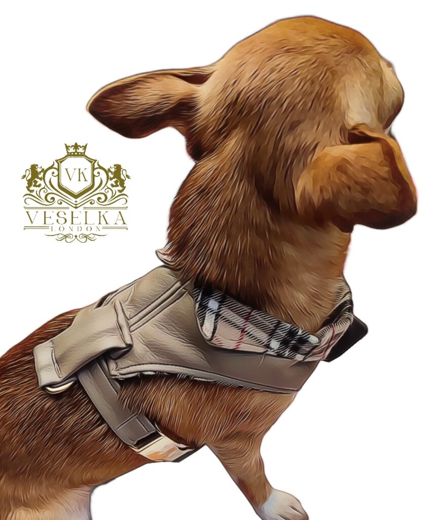 bespoke burberry small dog harness 