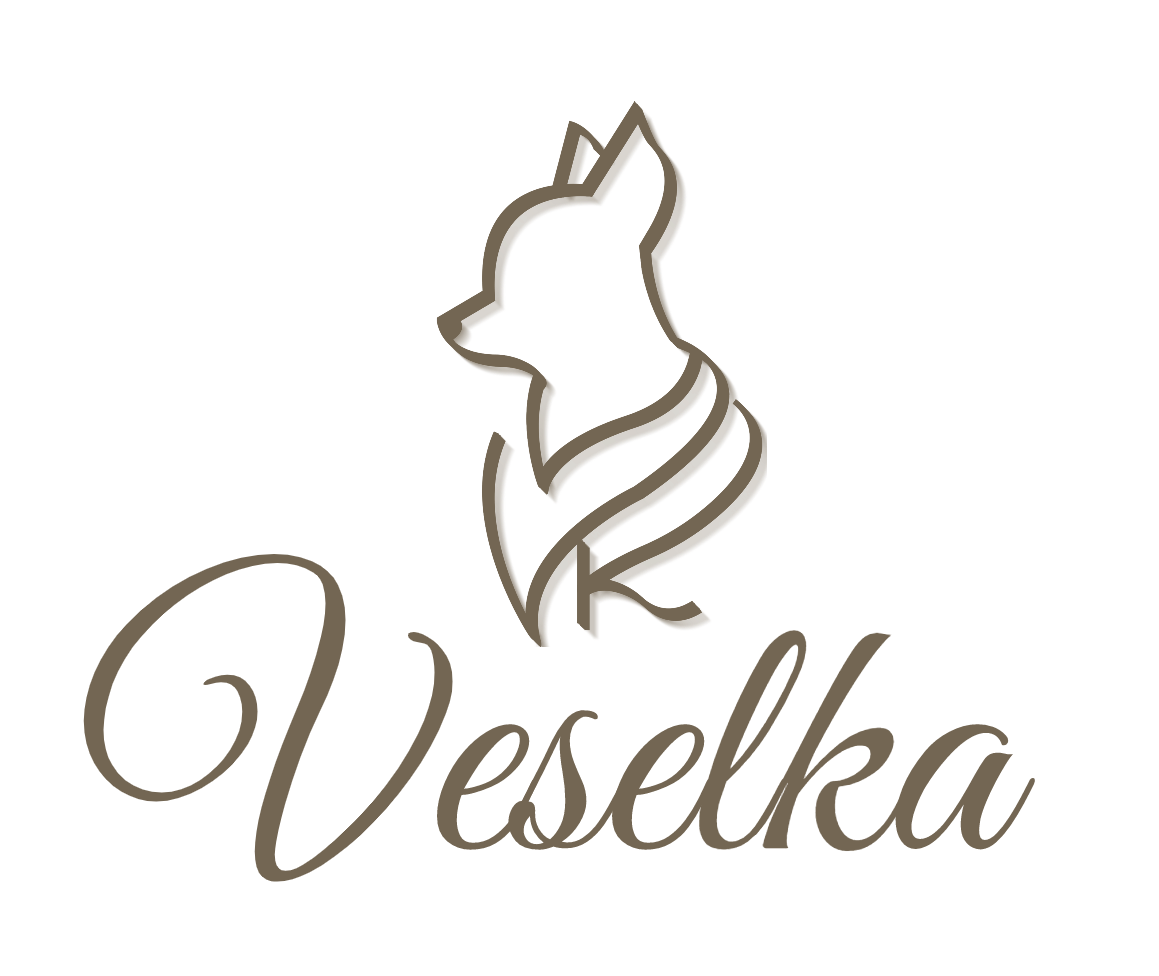 Matching Puppy Harness and Leash sets Archives - Veselka Canine