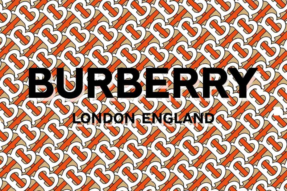 The new beautiful burberry logo pattern on all dog clothes including leash harness and collar for extra small puppies