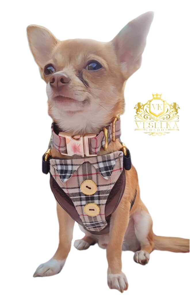 Veselka Burberry Small Dog Puppy Harness-Matching Leash,Collar