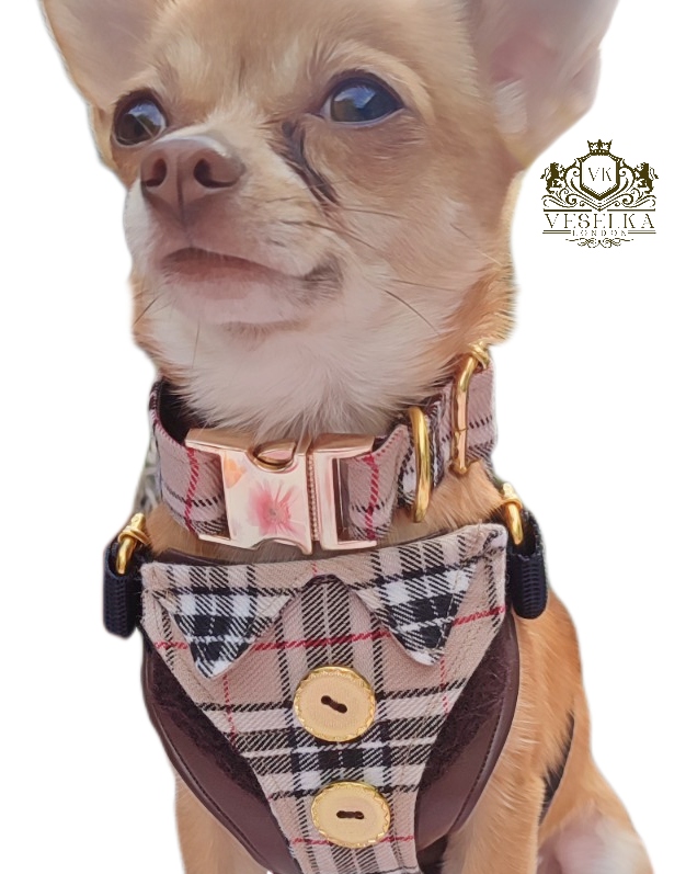 plaid tartan small puppy harness with collar and leash and gold fittings with leather close