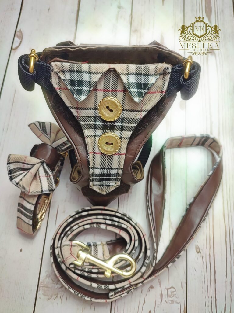 small burberry dog harness with matching leash and collar