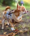 designer warm waterproof coat small dogs and puppies