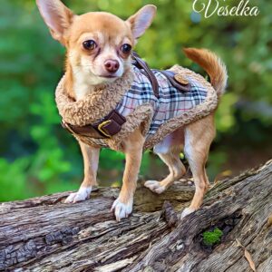 Designer Dog Clothes Luxury  Dog Coat Small Dogs Luxury