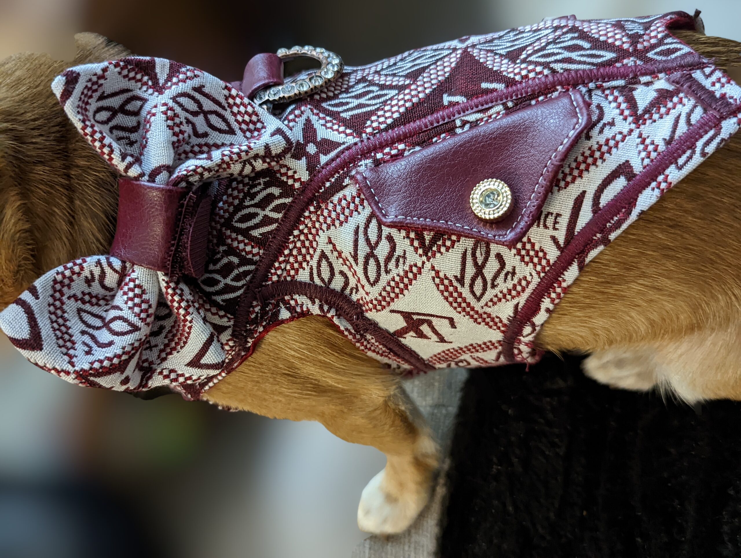 Repurposed Monogram Dog Harness, Luxury Couture Boutique Designer