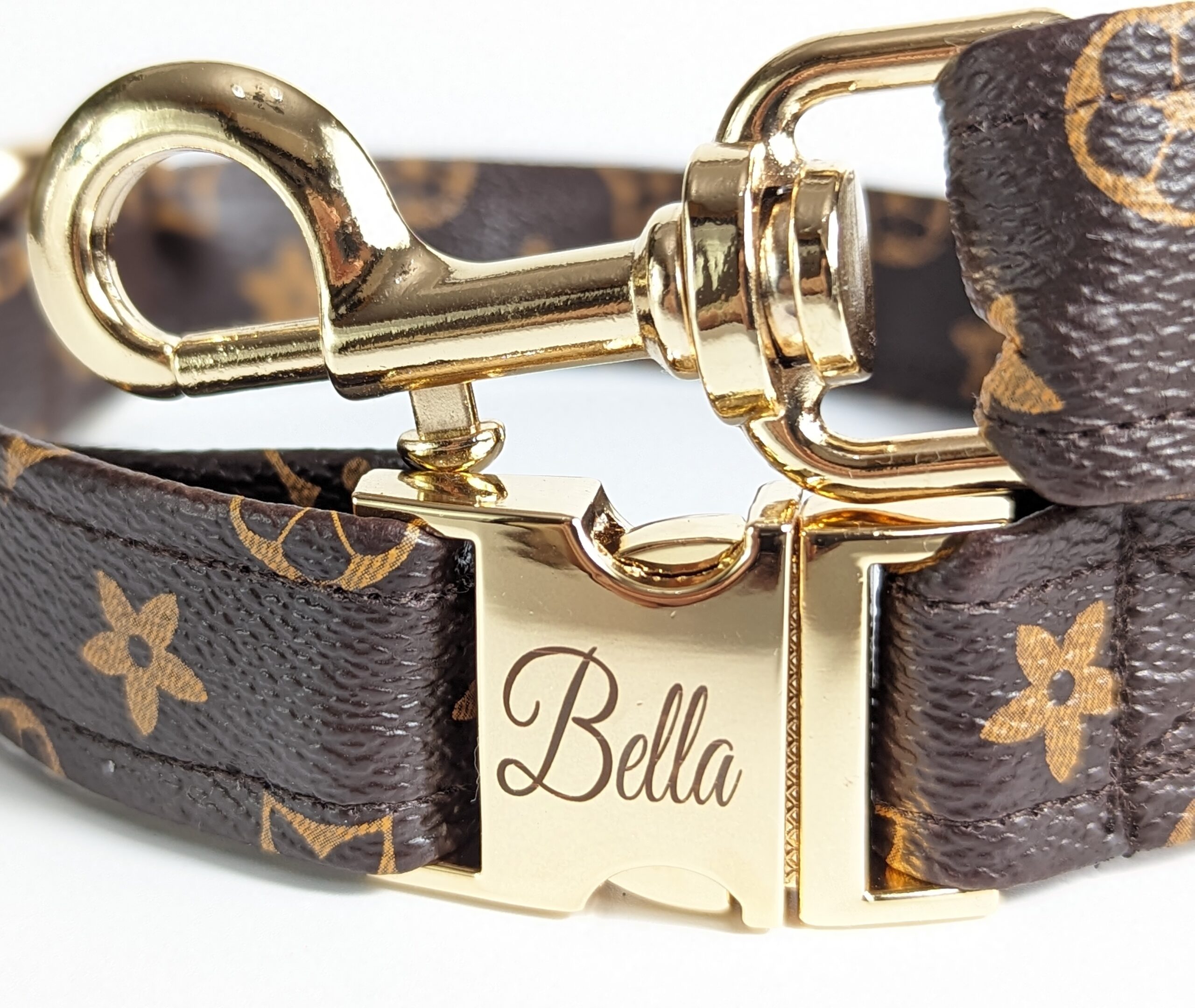 Louis Vuitton dog collar and leash