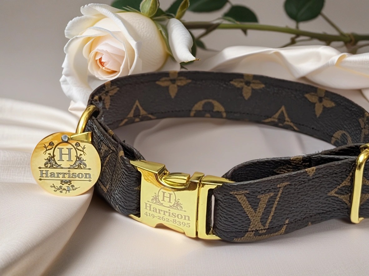 top 10 best designer dog collars for small and large dogs gucci, lv, burberry , harrods