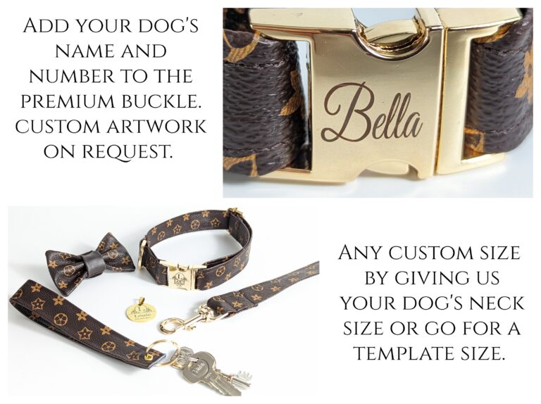 designer dog collar gucci and LV dior and leash