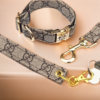 gucci dog collar and leash