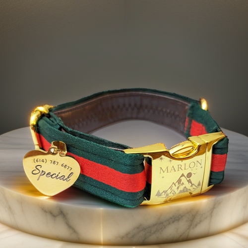 red pink gucci and LV Designer dog collar and leash high end