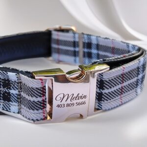 large and small burberry dog collar and leash genuine