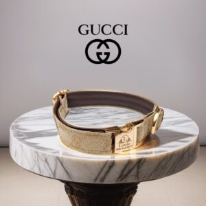Gucci designer dog collar and leash