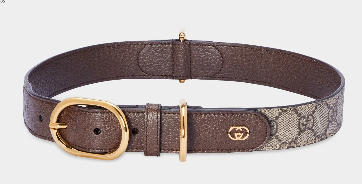 gucci dog collar brown and leash for large dogs