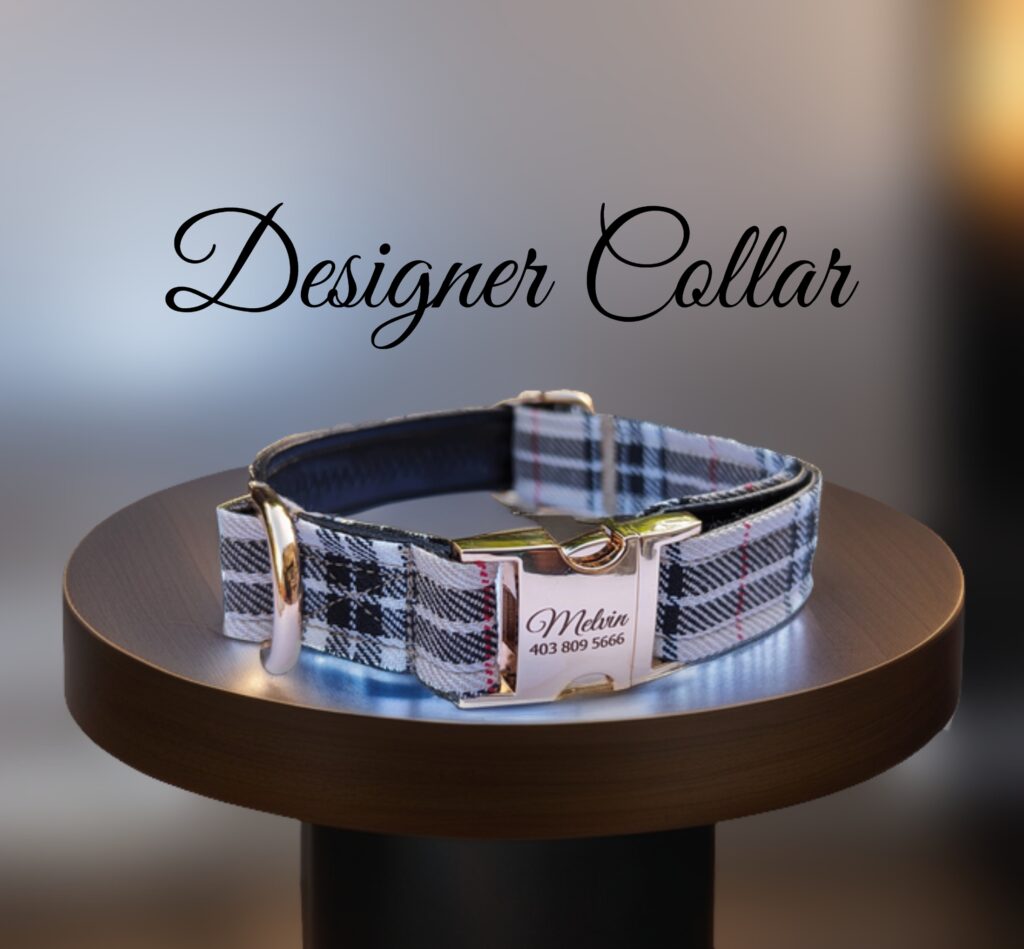 Designer brand tartan dog collar and leash caramel brown leather L