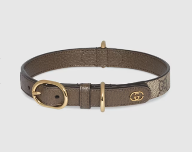 Gucci signature brown leather dog collar small and large dogs ranked at no 2