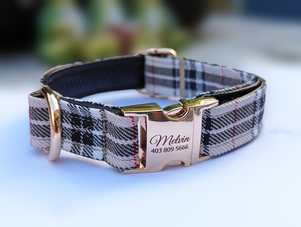 premium designer collar personalised tartan