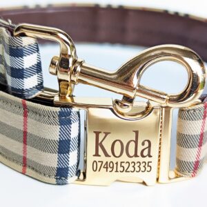 Burberry dog collar and leash