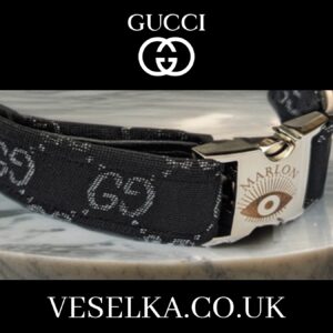 Gucci dog collar designer large and small also for cats 7 usa