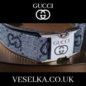 Gucci dog collar designer large and small also for cats usa