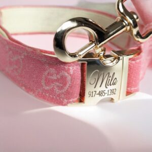 vibrant pink gucci dog and cat collar designer dog collar small and large with leash, puppy