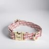 Dior designer dog collar in pink with leash