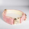 pink Gucci dog collar and leash