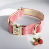 bright pink Gucci dog cat and puppy collar with leash