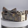 Louis Vuitton dog collar and leash small medium and large