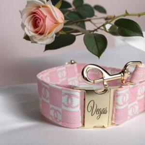 Pink Coco Chanel leather dog collar and leash. designer dog and cat collar