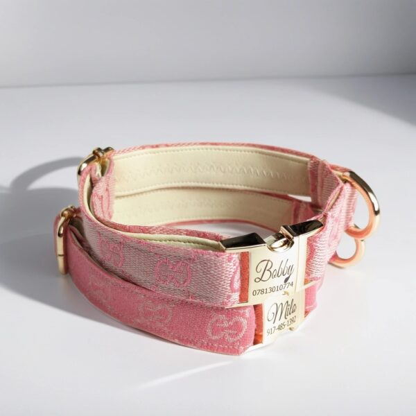pink gucci dog collar and leash
