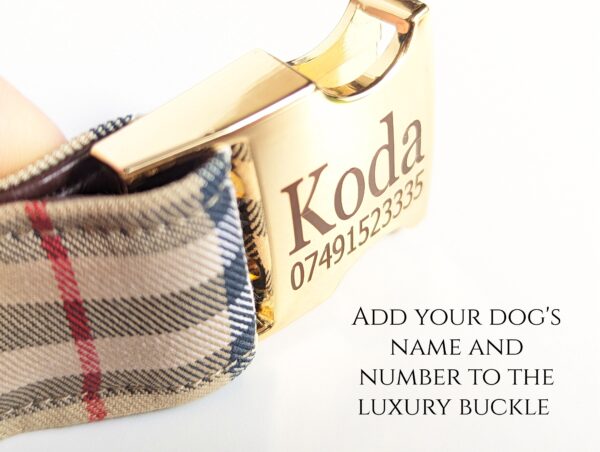 burberry dog cat collar with personalized name usa