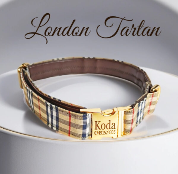 designer dog collar beige tartan like Burberry, small large puppy cat.