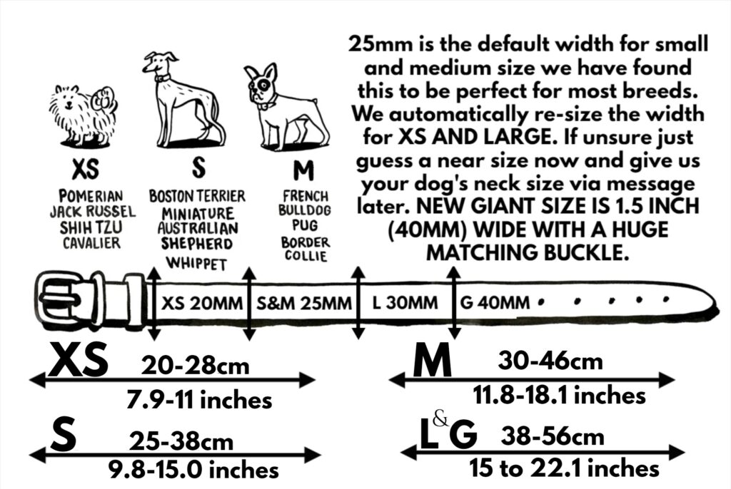 Average dog breed neck sizes for collars at 2 months, 6 months and fully grown male and female