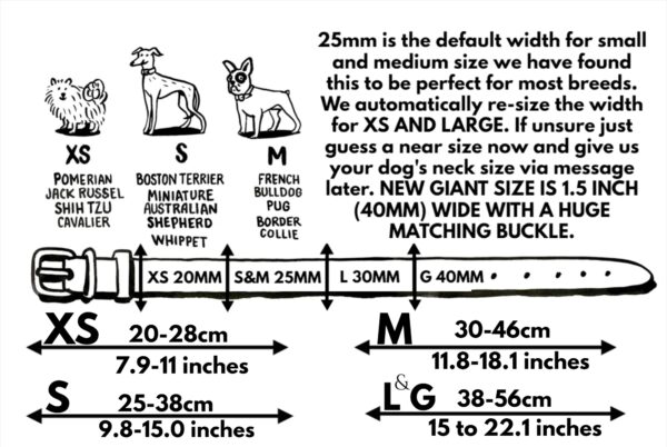 Average dog breed neck sizes for collars at 2 months, 6 months and fully grown male and female