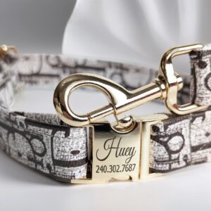 Dior dog collar and leash designer dog collar small and large leather personalised